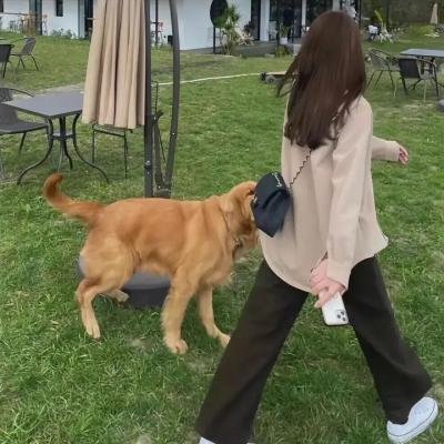 云中行走