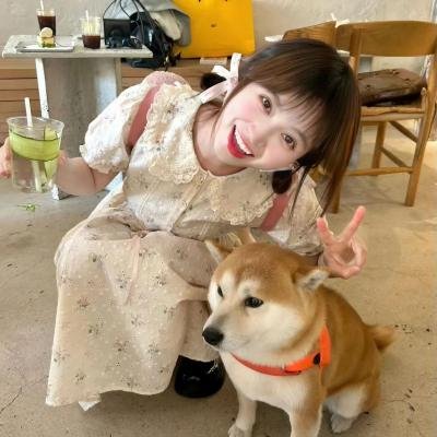 蔷薇勇士